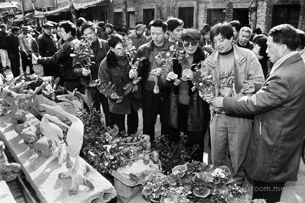 岳王路花鸟市场