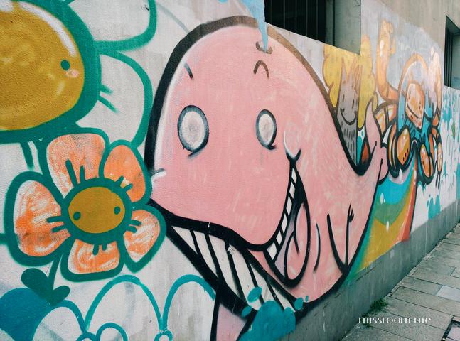 粉红鲸鱼几岁了