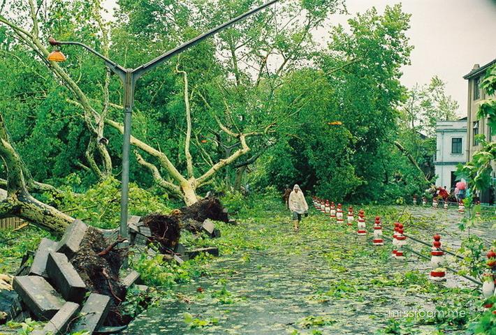 88年台风后的湖滨